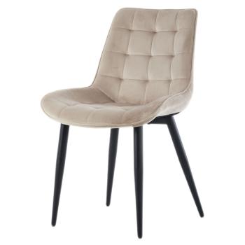 Esszimmer Polster Stuhl Leonardo Beige